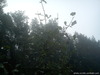 DSC00094