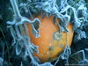 DSC00189