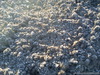 DSC00179