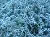 DSC00190