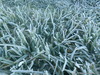 DSC00182