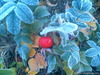 DSC00184
