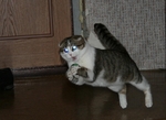 1273