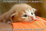 рыжик