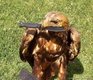 podborka_726_53