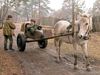 military_humor_04