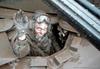 military_humor_17