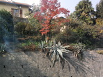 Foto0074