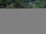 DSC00162.jpg