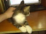 080720101369