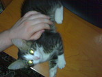 080720101370