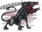 Cerberus1