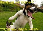 -[1]