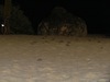 IMG_0339