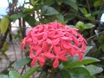 IMG_0947