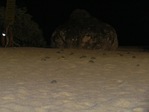 IMG_0339