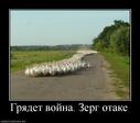 171421_gryadet-vojna-zerg-otake
