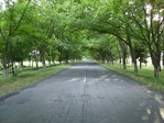 3cfc6646781afed4627136fd75a14ffb[1]