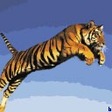 bodr_cats_a006