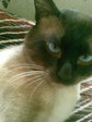 Image(101)-001.jpg