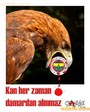 ezikfb352