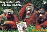 ezikfb268