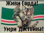 Р–РёРІРё РіРѕСЂРґР°