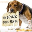 ezikfb273