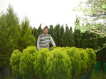 DSC02799.JPG
