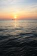 IMG_3751_511x768