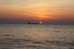 IMG_3726_1024x682