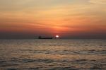 IMG_3727_1024x682