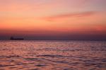 IMG_3705_1024x682
