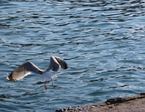 IMG_1139 1