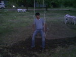 Batya