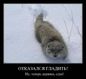 очень близкая тема)