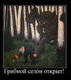 Проводник и прицеп