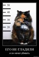 погладь кота 