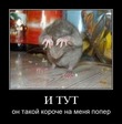 Tsg8bRmmFNQ9CtIzfJBgCA92p9WkrUFEyAbURjRpxyA