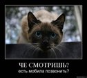 W1VlQg1YEX8KhfM7OF5LpwJreiTtMnIHy2SxmK1MxQ