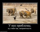 x_aeb286ff