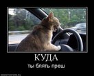 PudSiy8U4sZMJ8ne3fDPqwx5Q6JkNS1eDlqZmKUQVw