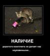 OV8mMrcsi6ydCxkZLiuAYw1cf4aDpRa19cRHxRZcVg