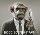 trumb_21122916
