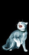 кошак 9