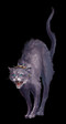 кошак 11