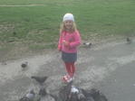 DSC00613
