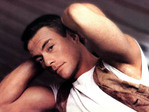 8045549_VanDam
