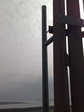 04032009569