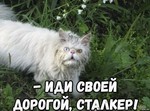 8d86b23dc2ded34bea916166da66e899